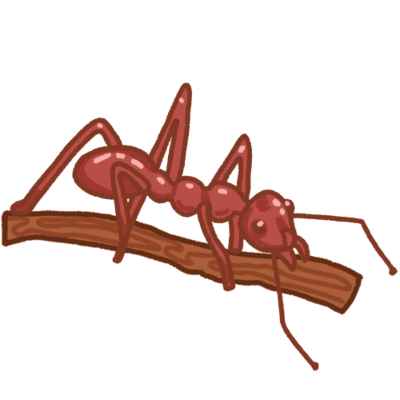 a red leaf cutter ant standing on a small stick